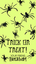 Load image into Gallery viewer, Spider Gift Tag